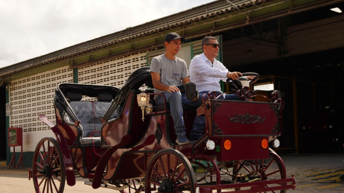La tracción de animales para el turismo finaliza hoy

 – Ojo critico