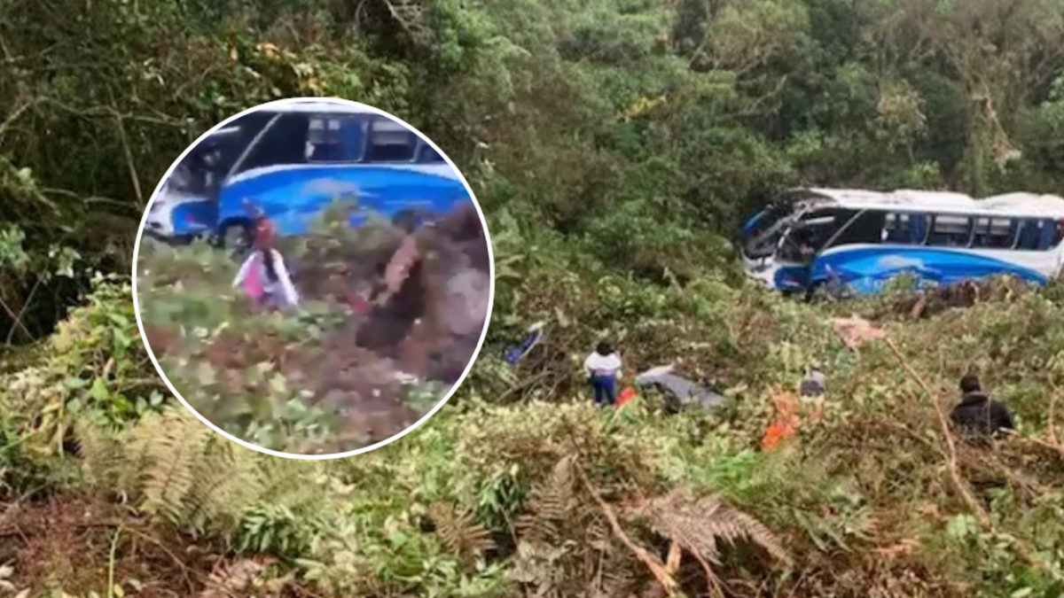 Revelan hipótesis sobre el accidente en el que un autobús de Copetran cayó a un precipicio y volcó a pocos metros en la vía Bucaramanga-Arauca: la empresa brindó detalles

 – Ojo critico