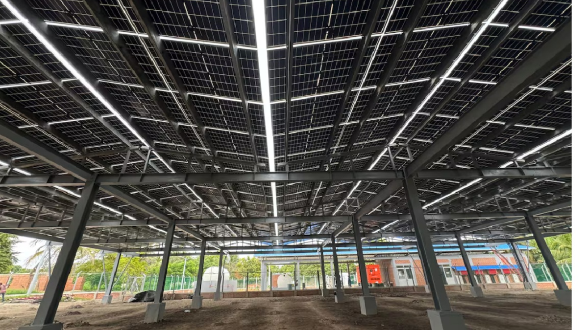 Isla Grande cierra plantas eléctricas para dar paso a una nueva finca de Agrovo

 – Ojo critico