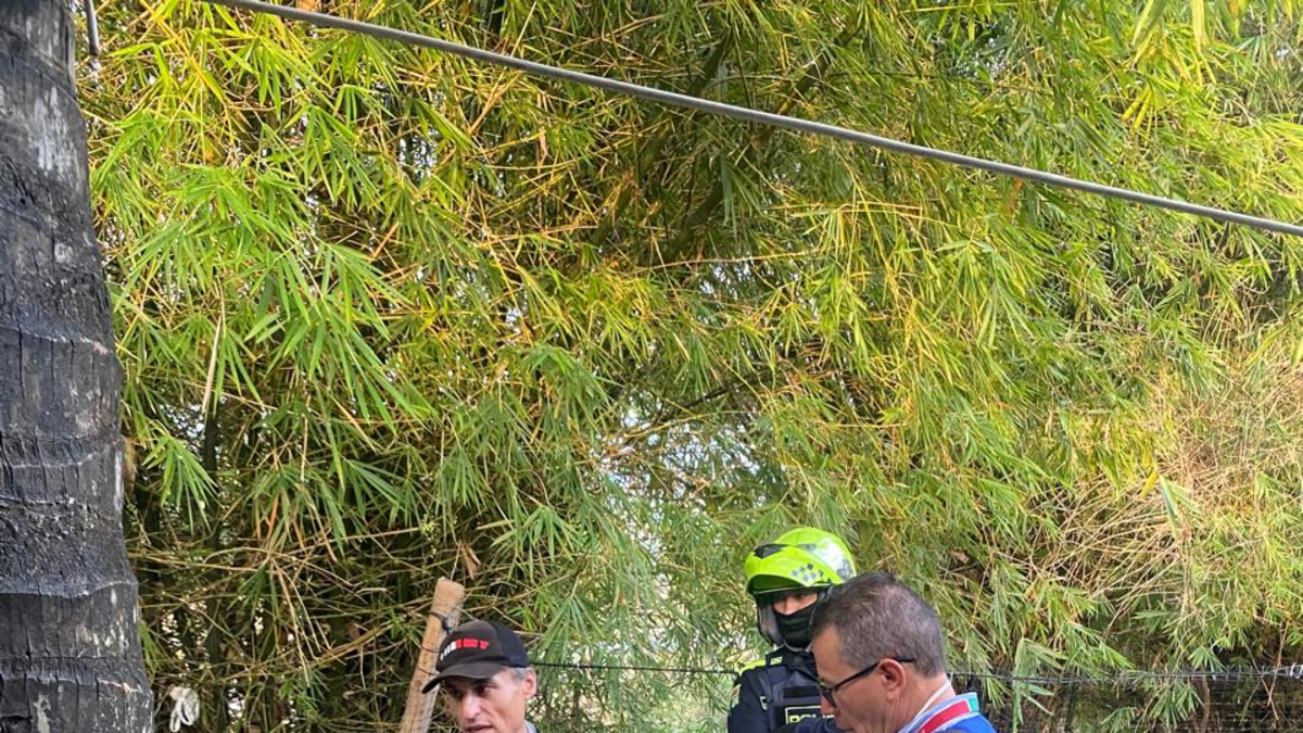 En Villavicencio, siete personas quedan en la calle envenenadas con un químico tras recibir comida desde un auto

 – Ojo critico