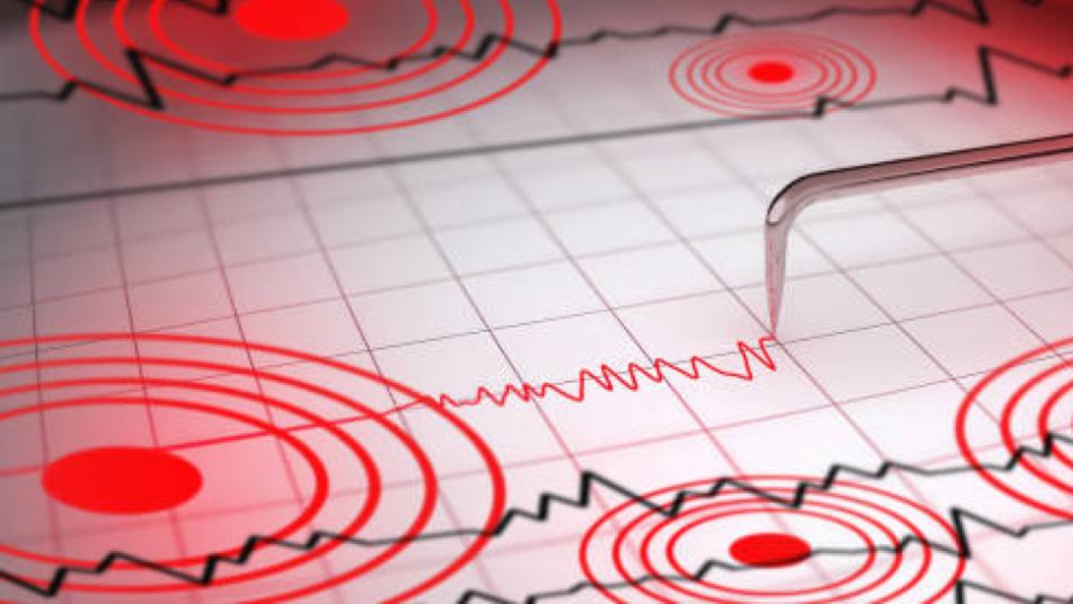 conocer la magnitud, epicentro y zonas afectadas

 – Ojo critico