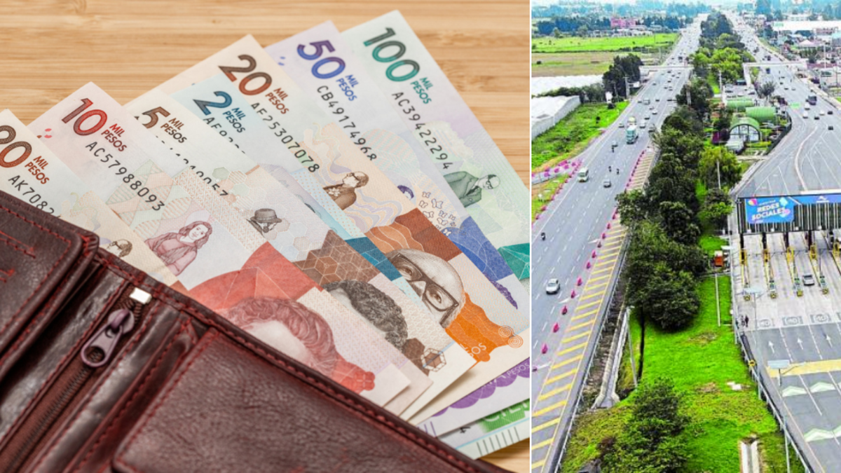 El año empezará en enero y su coste previsto

 – Ojo critico