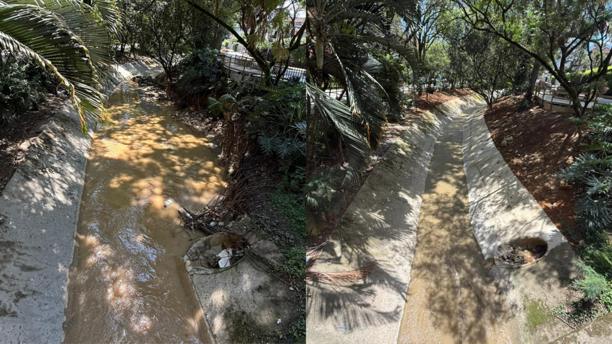 El progreso incluye la restauración de arroyos y la protección de más de 3.000 hectáreas.

 – Ojo critico