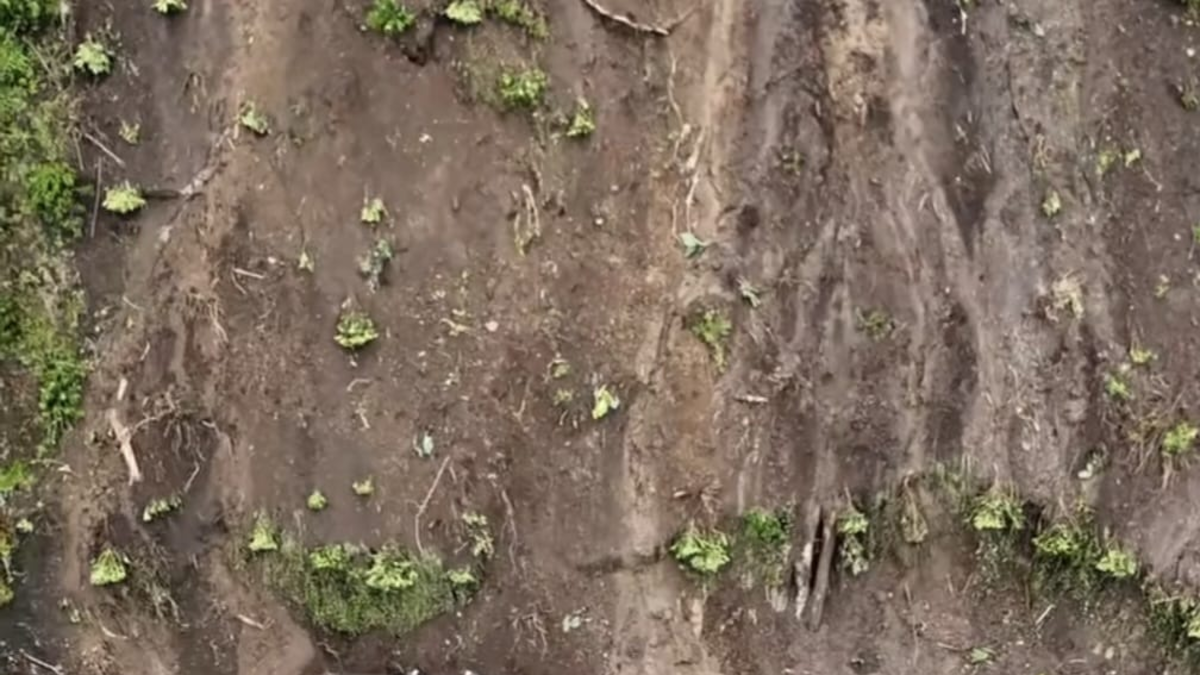 Esta es la identidad del hombre que quedó enterrado junto a su hijo de 11 años tras una avalancha que destruyó su casa en San Pablo, Nariño

 – Ojo critico