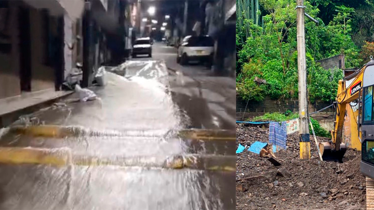 Estas son las zonas más afectadas

 – Ojo critico