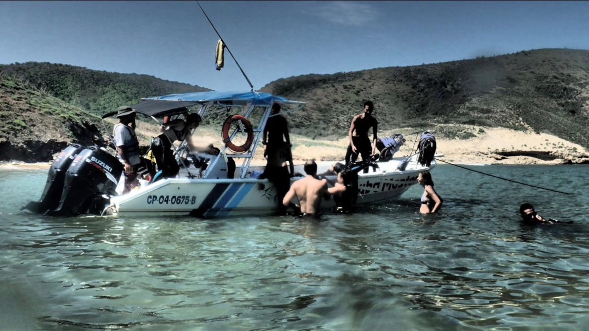 La empresa de buceo Barracuda rompió su silencio y dice que siguió los protocolos

 – Ojo critico