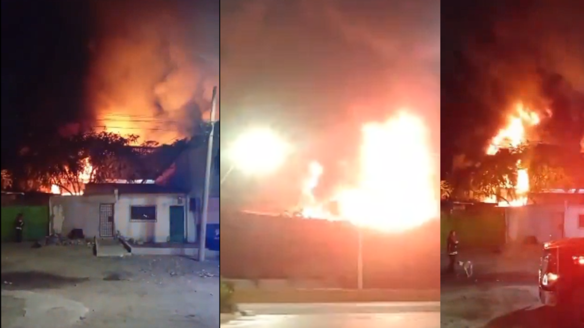 La mañana del martes un incendio destruyó una fábrica de colchones en Malambo, Atlántico; esto es lo que se sabe

 – Ojo critico