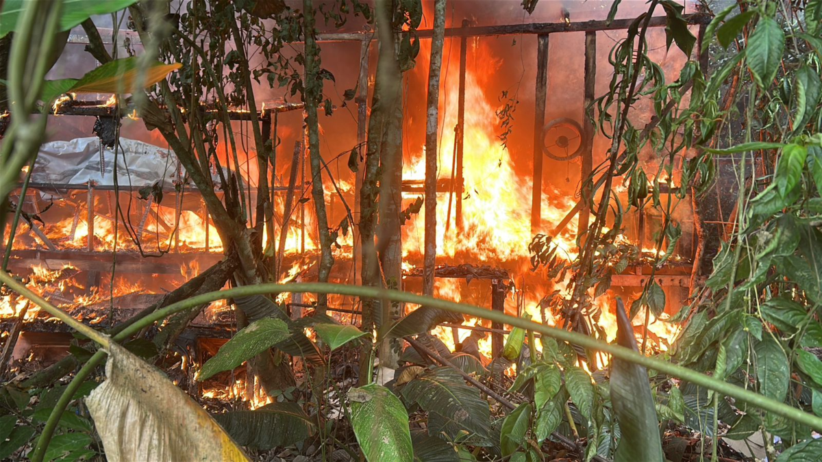 Militares y policías desmantelan un laboratorio gigante de clorhidrato de cocaína en la zona rural de Tumaco, estado de Nariño

 – Ojo critico