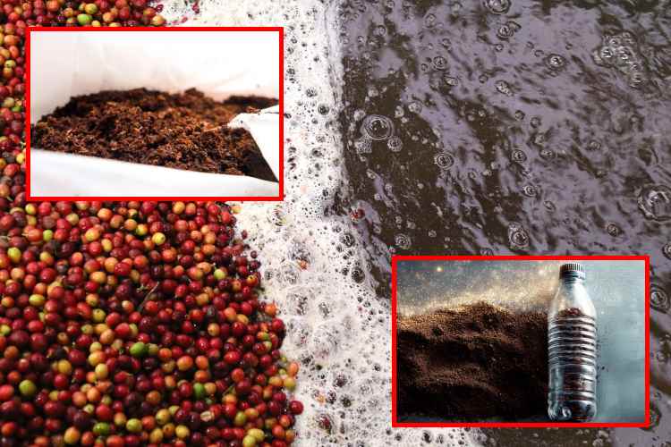 Los residuos del café eliminan hasta el 98% del plomo del agua

 – Ojo critico