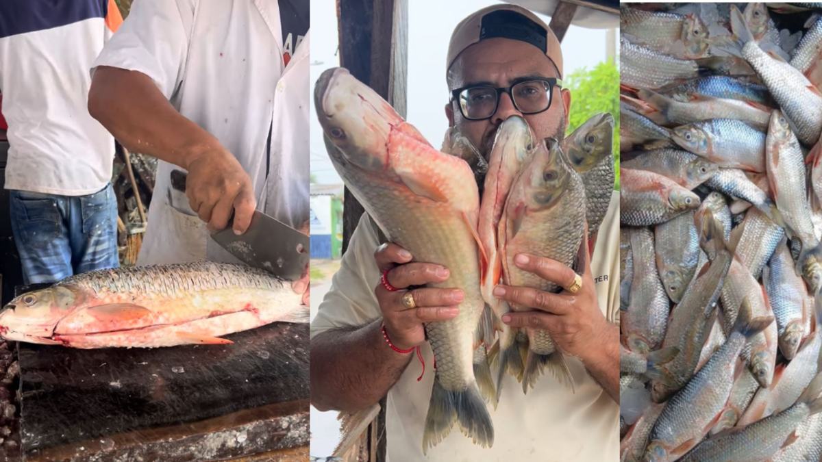 Retenes y peligros impiden el ingreso de insurgentes a Bocachico

 – Ojo critico