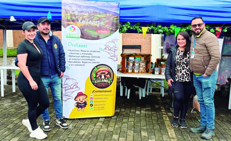 Kalampa: el renacimiento de los hongos en Nariño

 – Ojo critico