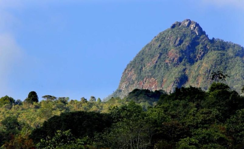 tres policías resultaron heridos; lo que se sabe

 – Ojo critico