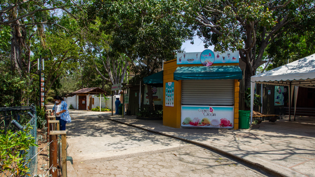 Zoológico de Barranquilla ajusta tarifas e inicia debate urbano sobre sostenibilidad, bienestar animal y urgencia de transferencia estructural

 – Ojo critico