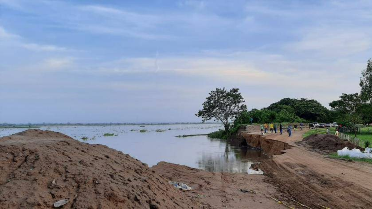 La prolongada sequía en el Atlántico Sur golpea a los agricultores del Campo de la Cruz y amenaza la seguridad alimentaria local

 – Ojo critico