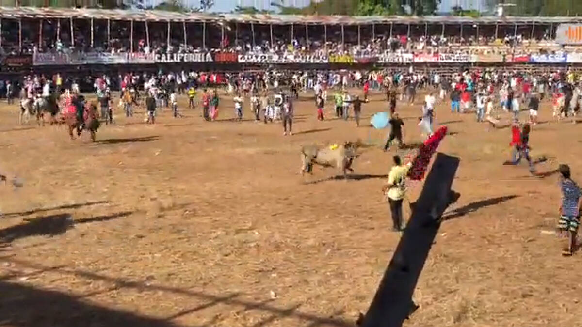 corralejas en el Cáucaso, como resultado del cual más de 60 personas resultaron heridas

 – Ojo critico