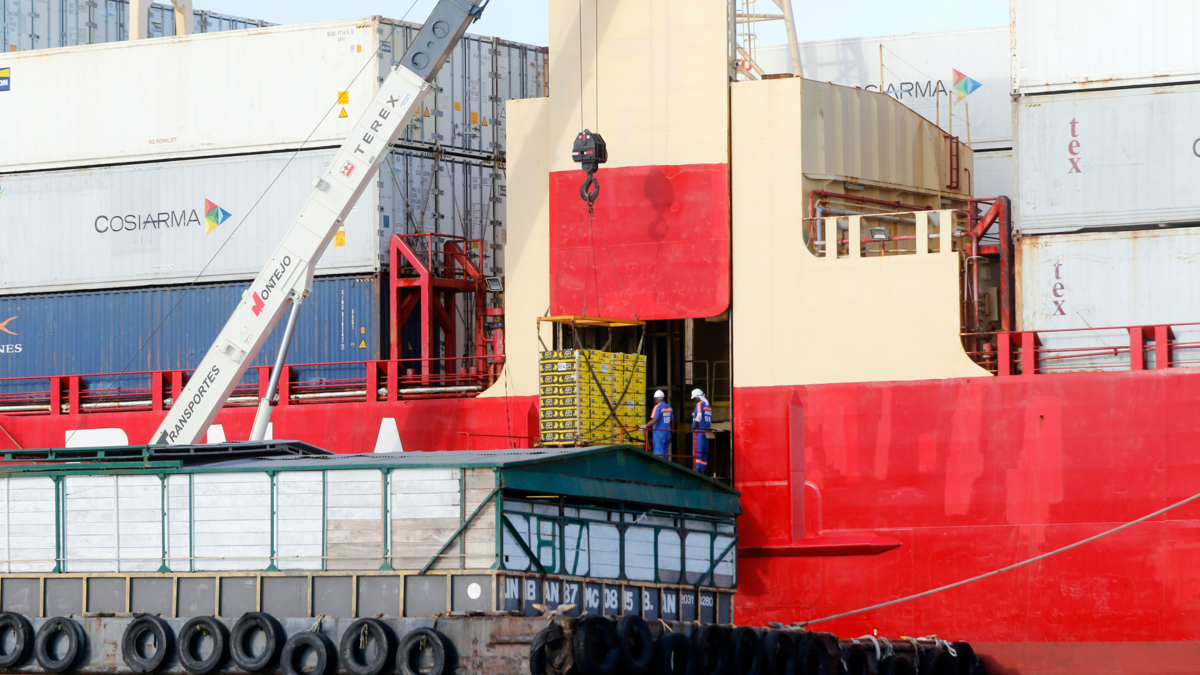 Puerto Antioquia anuncia que realizará nuevas pruebas operativas antes de entrar en operación: serán ejercicios operativos controlados

 – Ojo critico