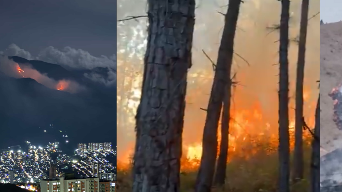 Un incendio forestal en Cerro Quitasol dura tres días

 – Ojo critico