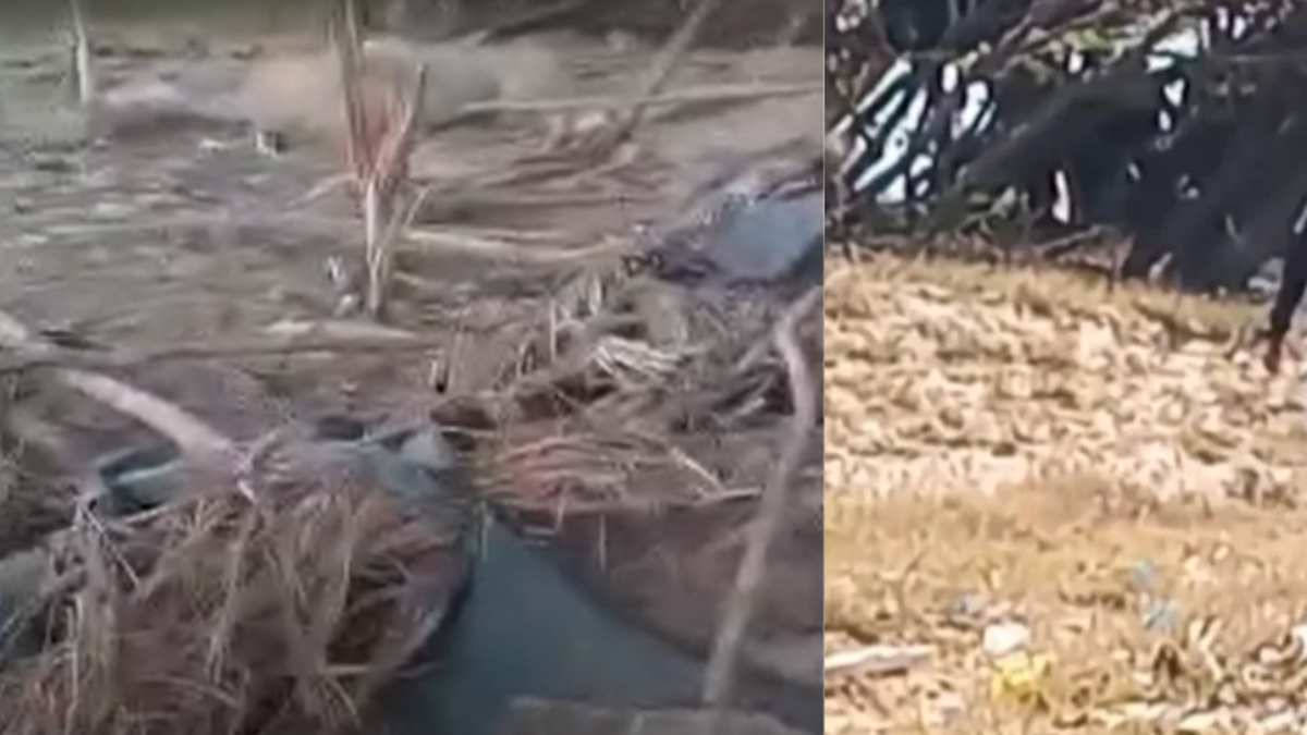 En la zona se encontraron restos de un misil estadounidense

 – Ojo critico