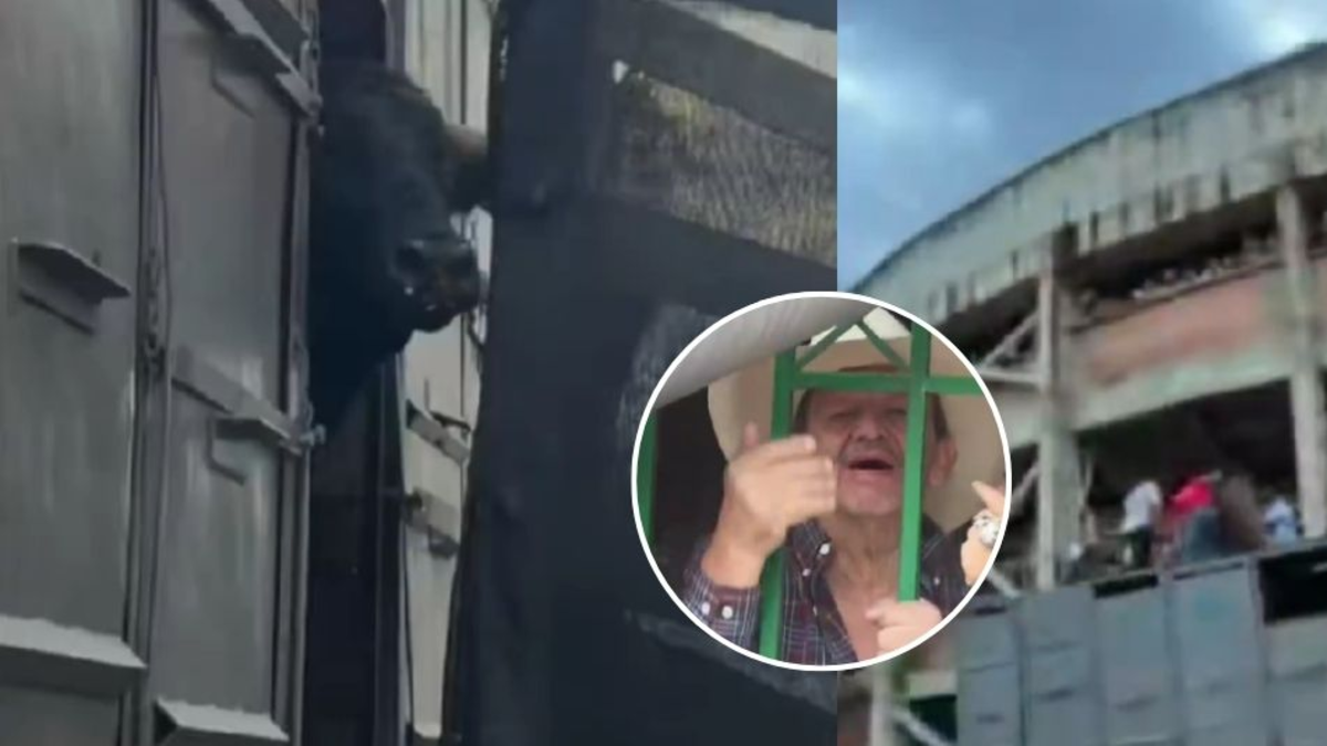 Manifestantes bloquearon la entrada a la plaza de toros de Barbosa en Santander y denunciaron a los organizadores del maltrato animal: «Asesinos»

 – Ojo critico