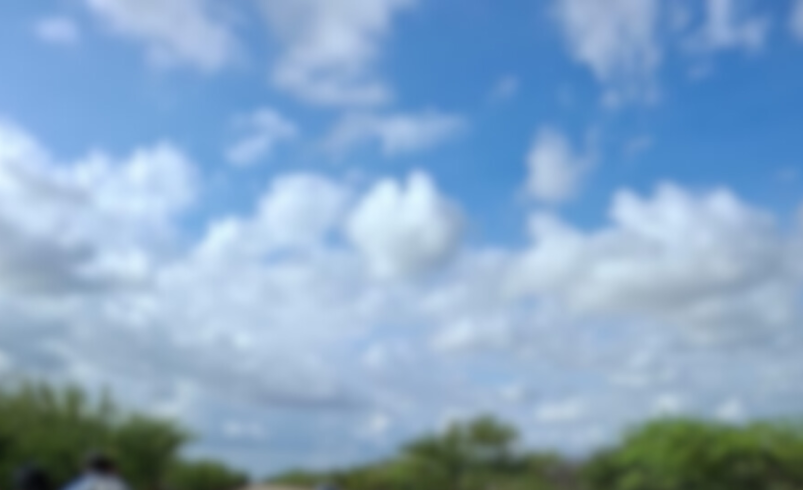 Estos son nuevos detalles del caso

 – Ojo critico