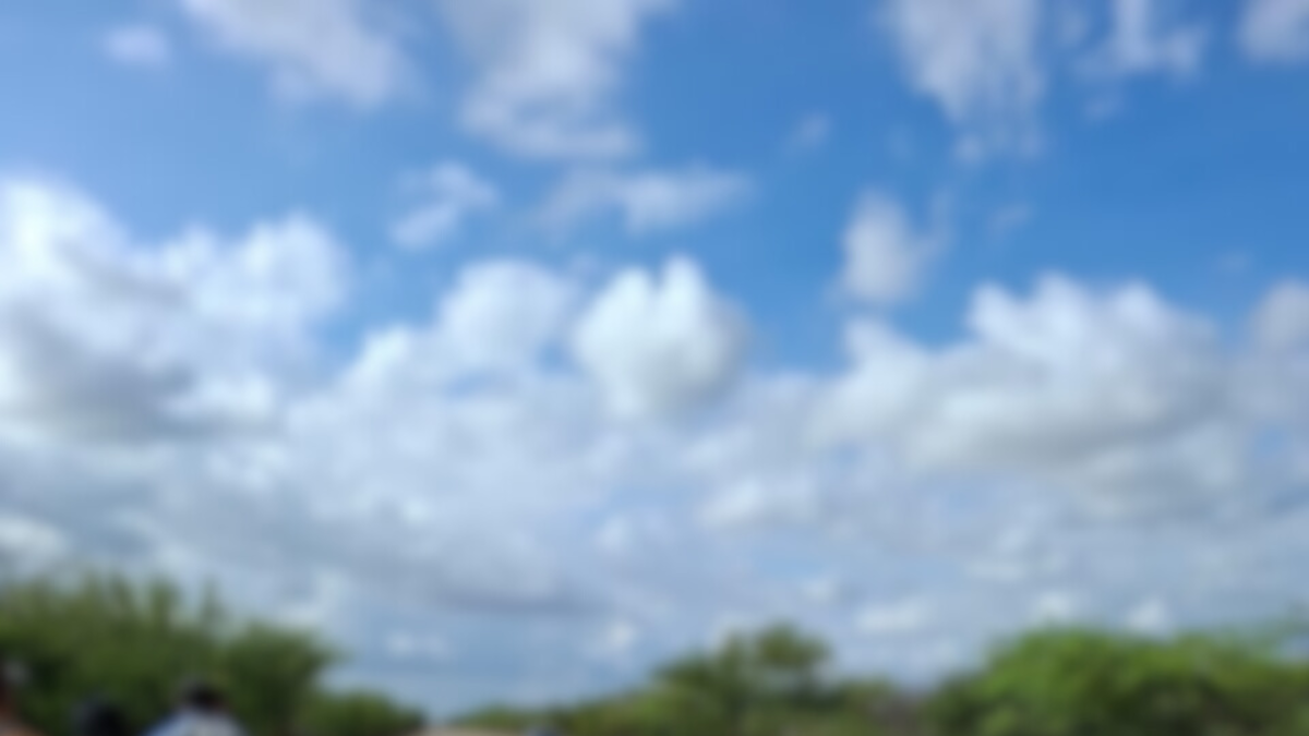 Estos son nuevos detalles del caso

 – Ojo critico