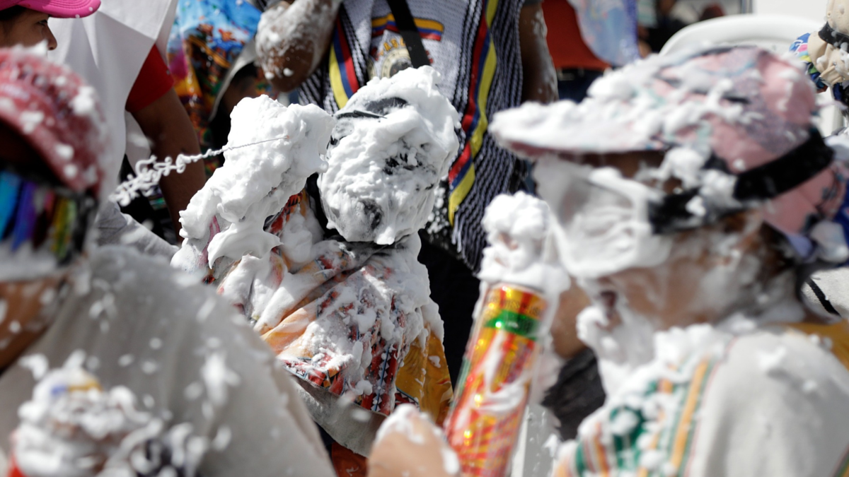 Rechazan brutal ataque a pollo en Popayán

 – Ojo critico