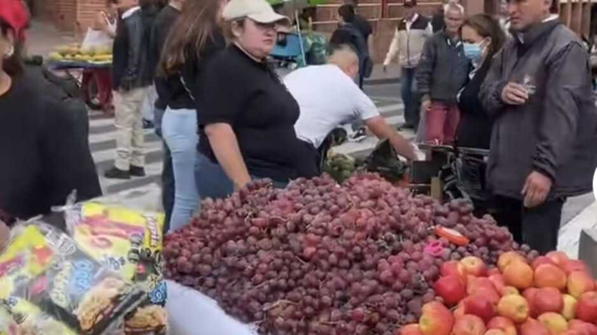 ¿Qué decisiones tomó la Alcaldía de Pasto respecto de los vendedores ambulantes en los espacios públicos de la ciudad, luego del diálogo y el fallo judicial?

 – Ojo critico