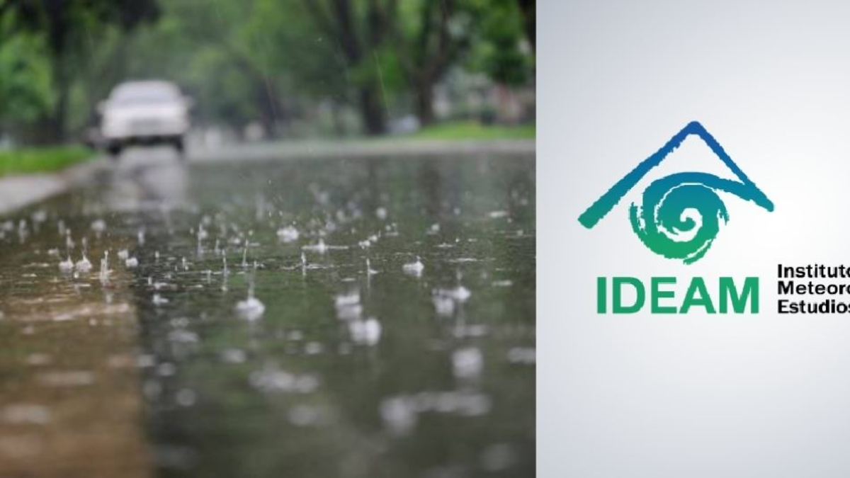 ver el informe por región

 – Ojo critico