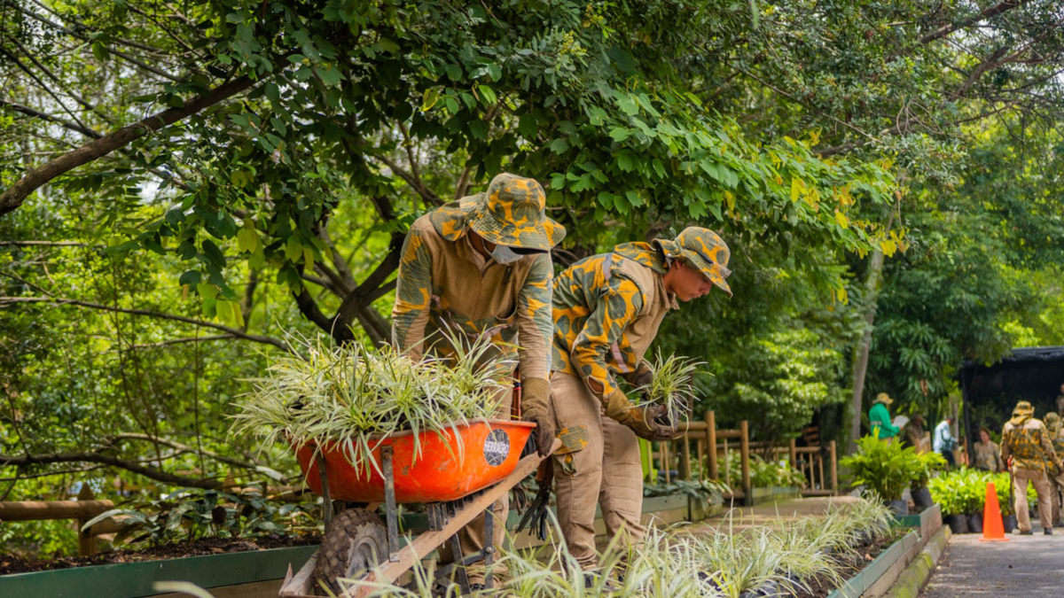 Medellín se expande con ocho nuevos corredores ecológicos en el corazón de la ciudad

 – Ojo critico