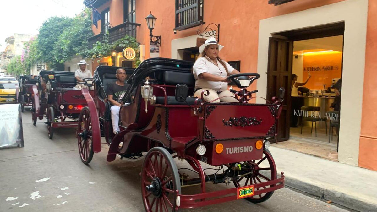 El juzgado, la Fiscalía General y la Defensoría del Pueblo se niegan a proteger contra los coches eléctricos que ya circulan por el Centro Histórico

 – Ojo critico
