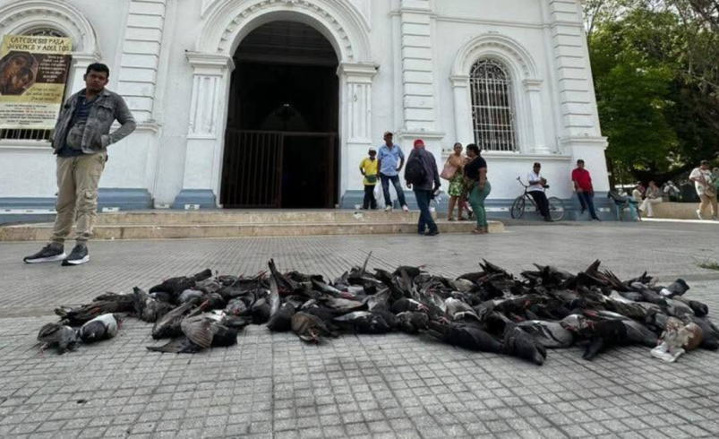 El alcalde exige investigación y protección del medio ambiente

 – Ojo critico