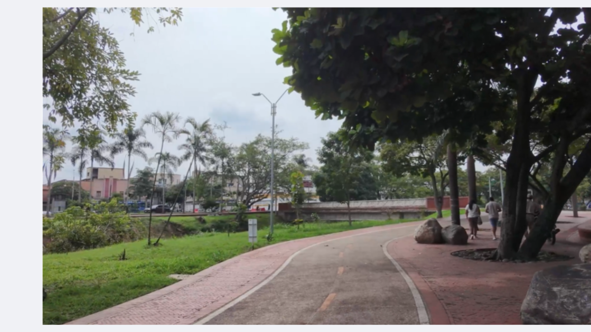 Así, gracias a la ciudadanía, se está llevando a cabo la reconstrucción de este pequeño pulmón de la capital del Valle

 – Ojo critico