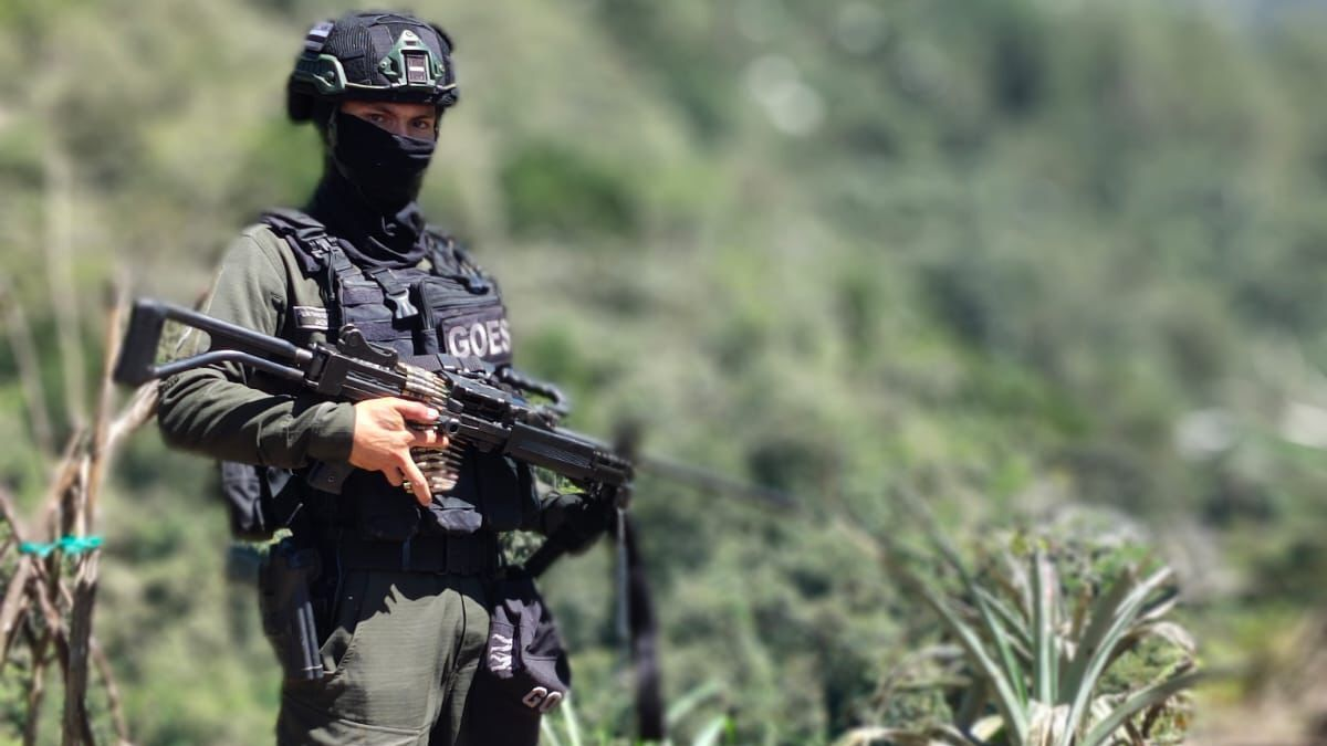 Líderes del ELN y del Clan del Golfo están detrás de una disputa silenciosa por rutas secretas de la droga que ha dejado un rastro de terror en Risaralda

 – Ojo critico