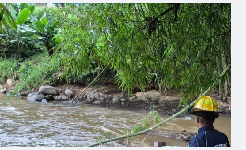 Fue una búsqueda que terminó amargamente.

 – Ojo critico