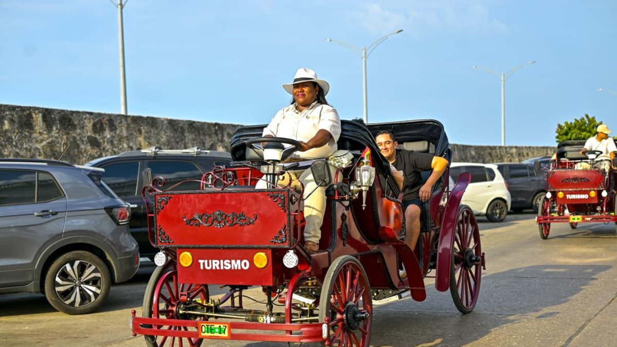 Aquí tenéis los horarios, recorridos y cómo acceder a este servicio, que se amplía durante cinco meses

 – Ojo critico