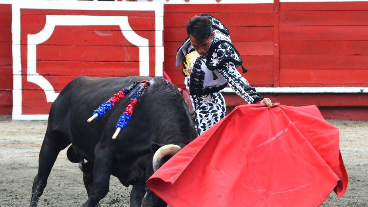 así se vive la transición a la prohibición de la tauromaquia en Colombia – Ojo critico
