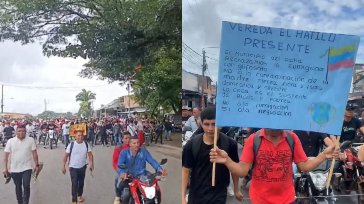 Señalan un golpe contra sus tierras y su economía.

 – Ojo critico