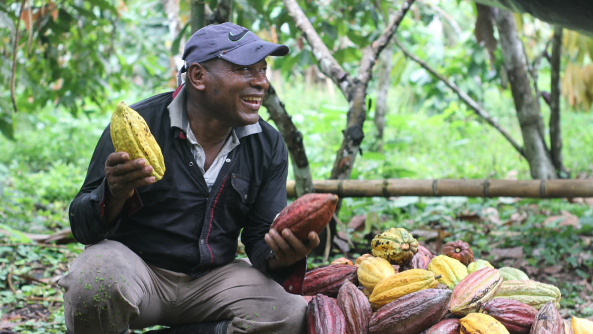 Aquí algunas historias de transformación en áreas marcadas por la violencia, la agricultura ilegal y el despojo de tierras.

 – Ojo critico