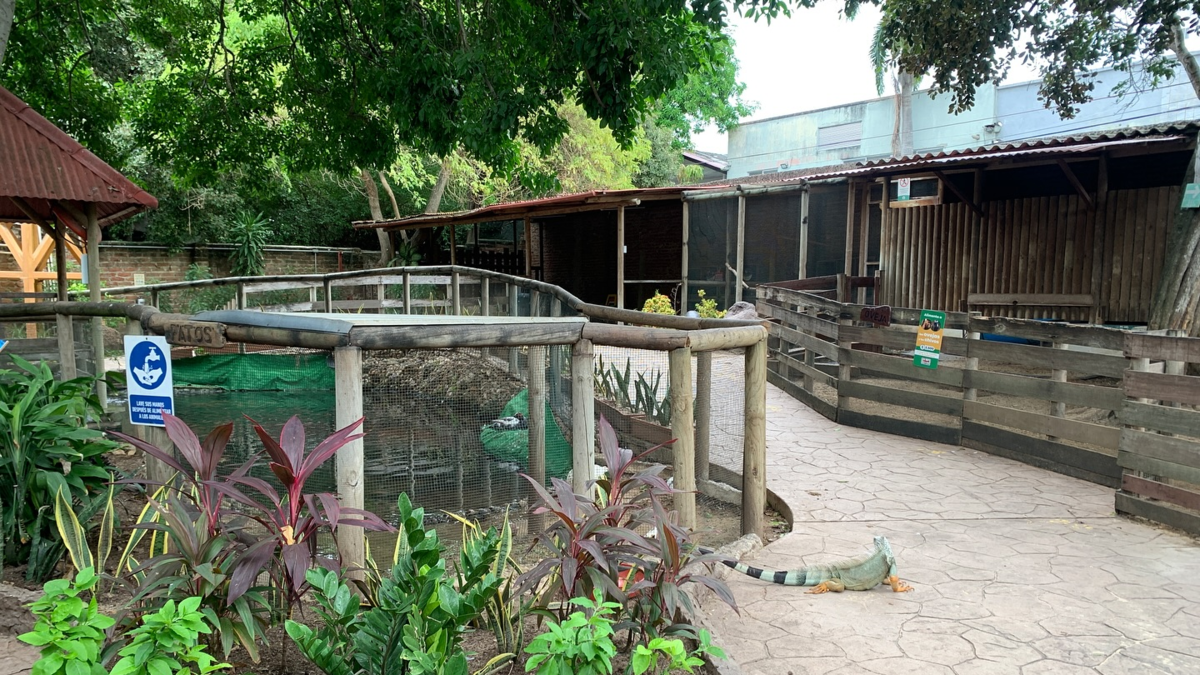 Argos Property aparece como una alternativa viable para reubicar el Zoológico de Barranquilla e incluirlo en el gran eje ambiental del Río Magdalena

 – Ojo critico