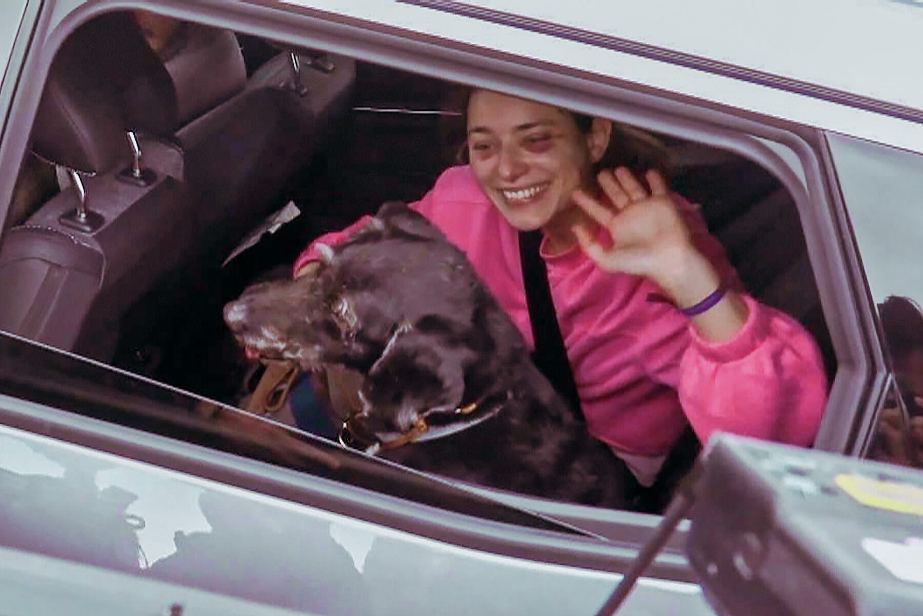 Boro, el perro que volvió a casa tras el accidente de tren en España

 – Ojo critico