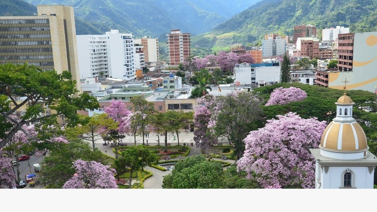 Los asesinos atacaron con armas de fuego y escaparon en una motocicleta.

 – Ojo critico