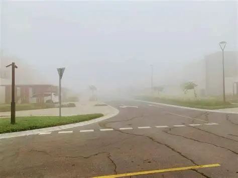 Una niebla extremadamente densa paraliza zonas de Dubái y la costa de los Emiratos Árabes Unidos

 – Ojo critico
