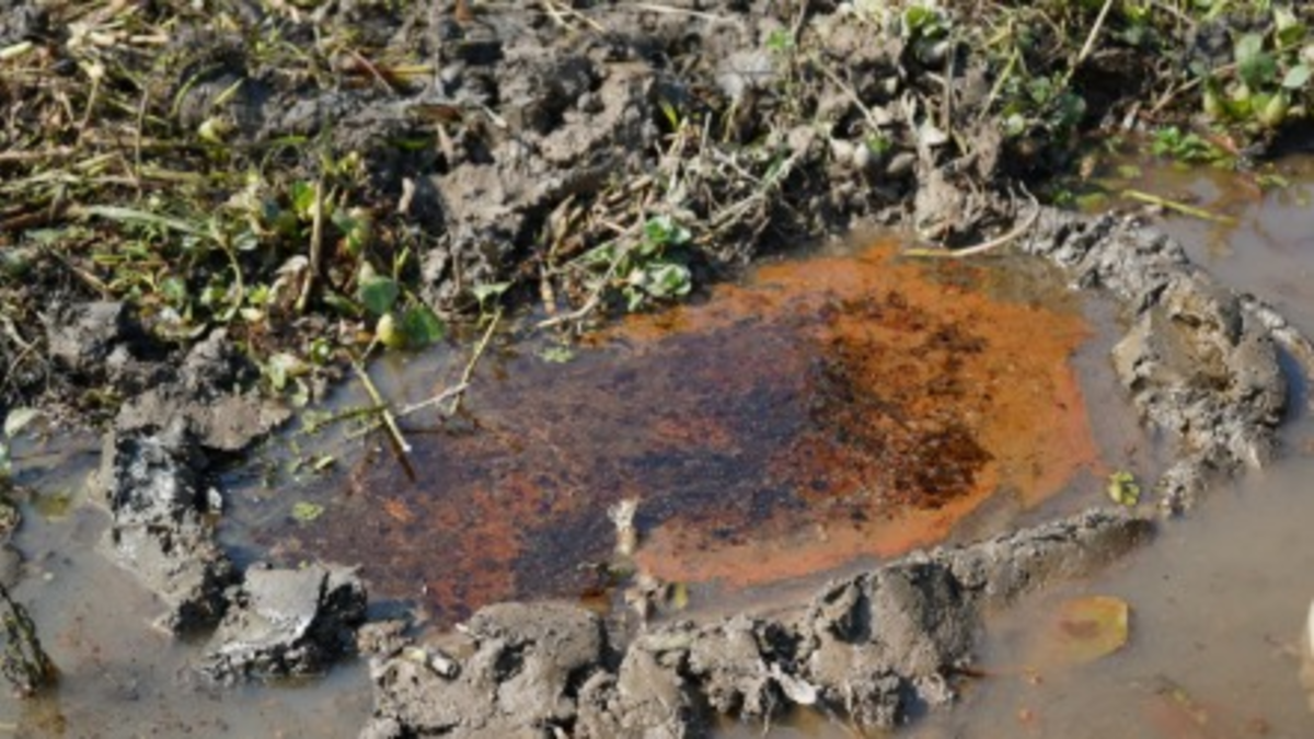 Reportan fuerte contaminación ambiental con hidrocarburos en importante pantano de Barrancabermeja, que abastece de agua al municipio

 – Ojo critico