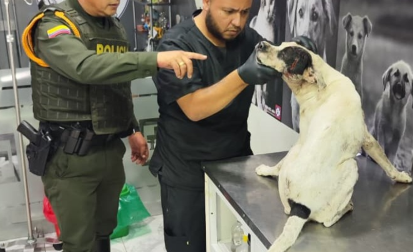 sobre el abuso que causó indignación en Barrancabermeja

 – Ojo critico