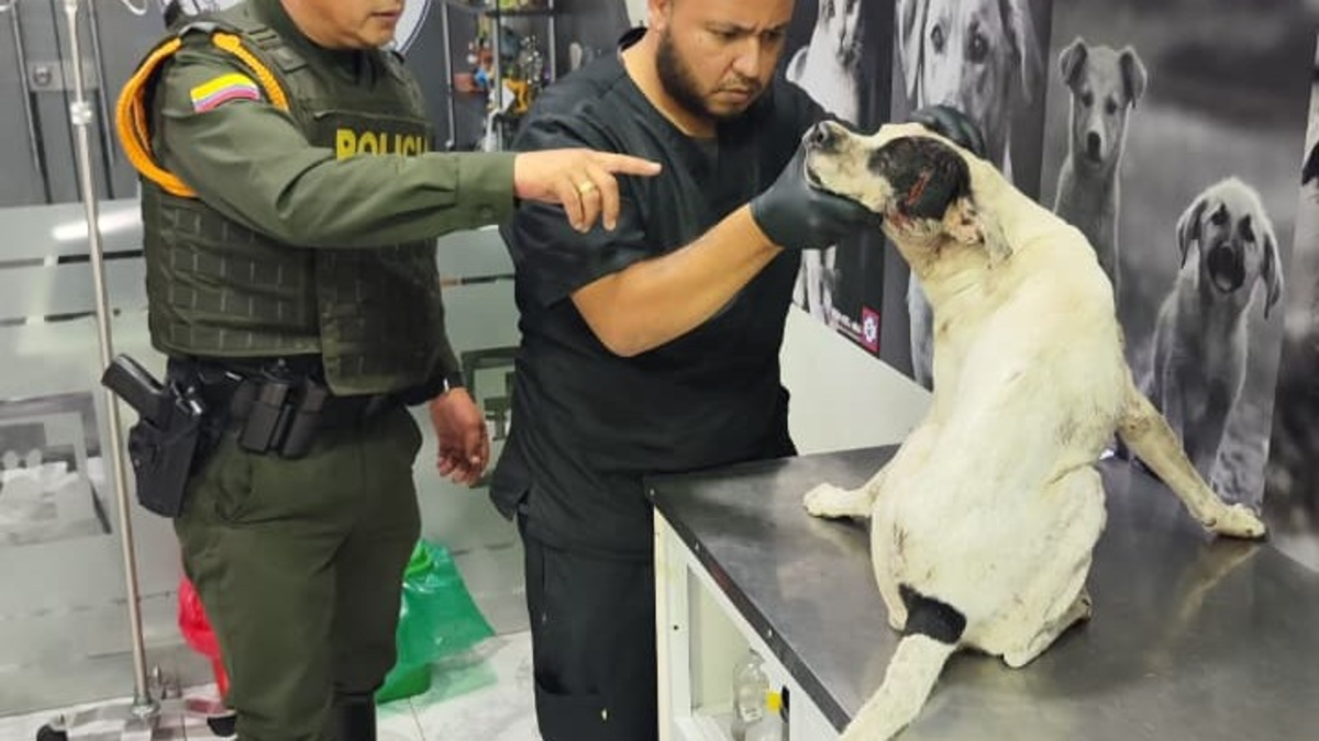 sobre el abuso que causó indignación en Barrancabermeja

 – Ojo critico