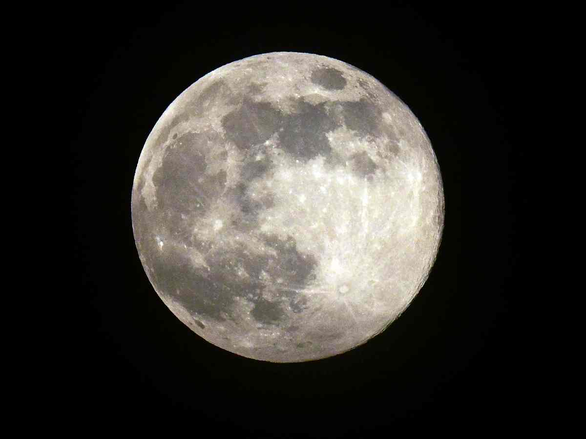 La luna llena “Wolf Moon” ilumina enero de 2026: así será la superluna

 – Ojo critico