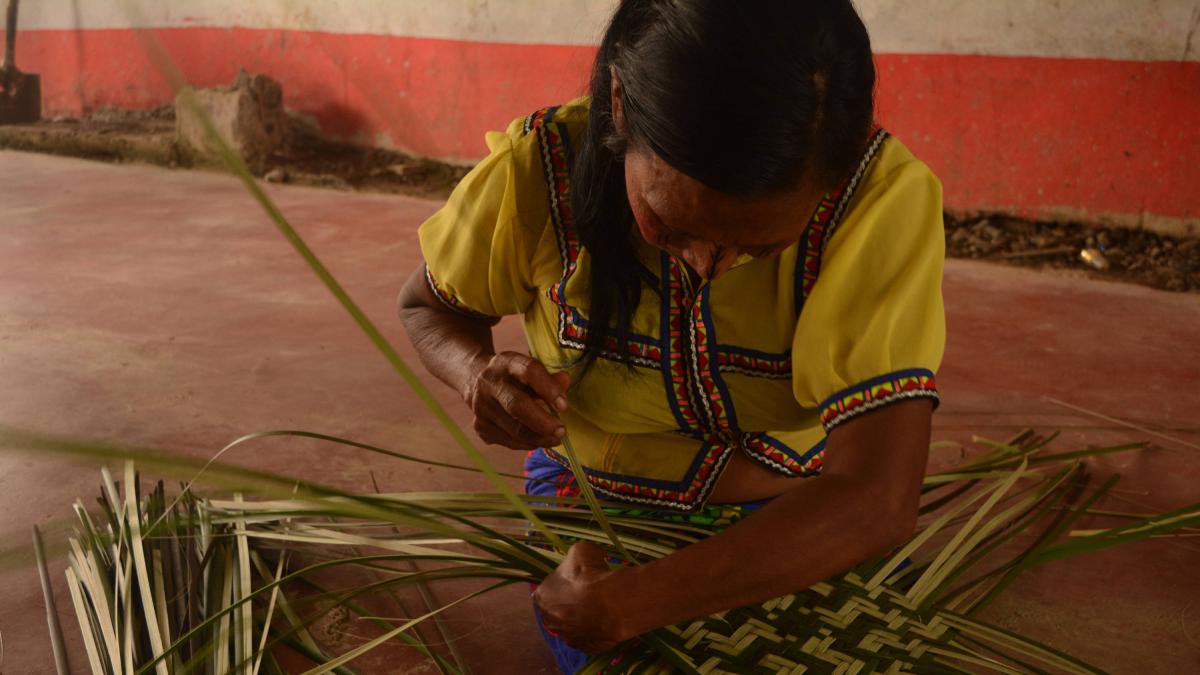 Faltan pocos días para que se cumpla el plazo de contratación para revitalizar la economía de artesanos en Colombia, son 40.000 en todo el país. lugares

 – Ojo critico
