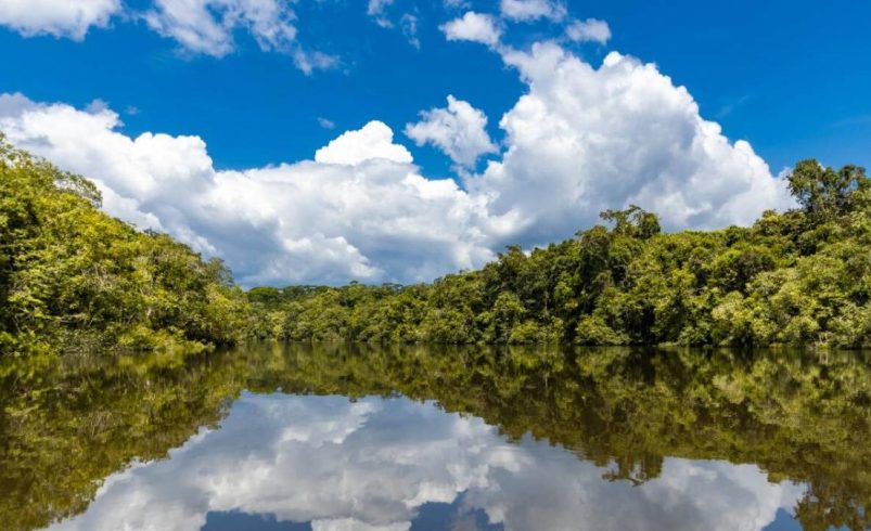 CIRARD+20/ Sin una regulación clara de los bonos verdes, el Estado colombiano dejaría de recaudar aproximadamente $2.600 millones

 – Ojo critico