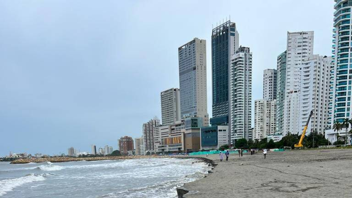 para que puedas leer los informes de meteoritos

 – Ojo critico