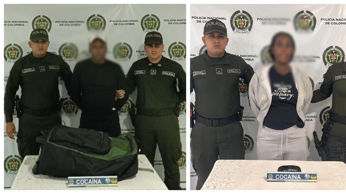 El hombre lo escondió en una maleta de doble fondo destinada a Chile y la mujer lo llevó a Italia.

 – Ojo critico